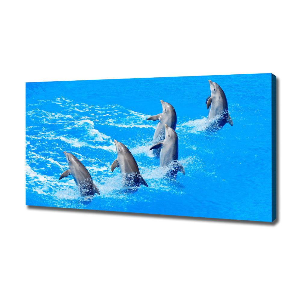 Tableau imprimé sur toile Dauphins