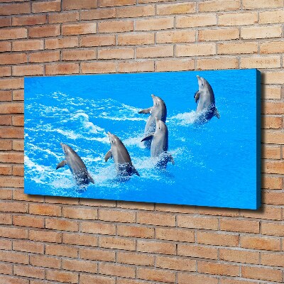 Tableau imprimé sur toile Dauphins