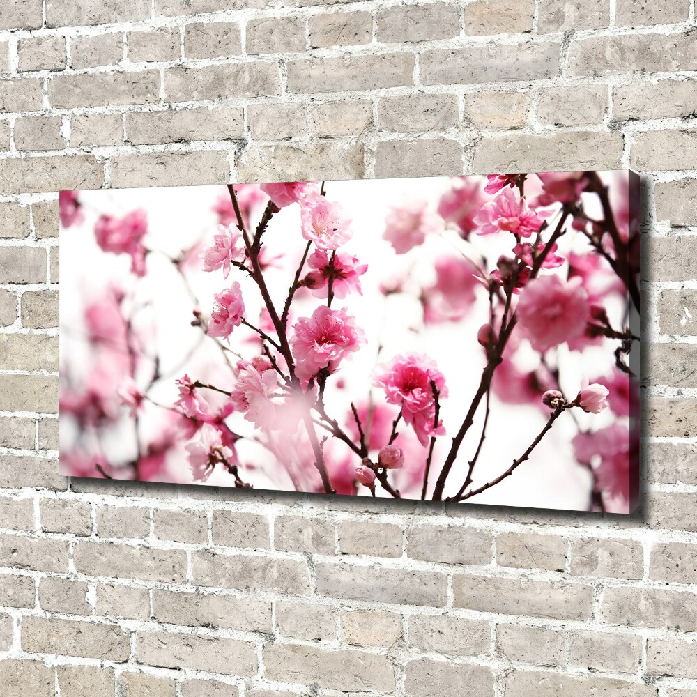 Tableau mural sur toile Fleur de prunier