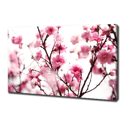 Tableau mural sur toile Fleur de prunier