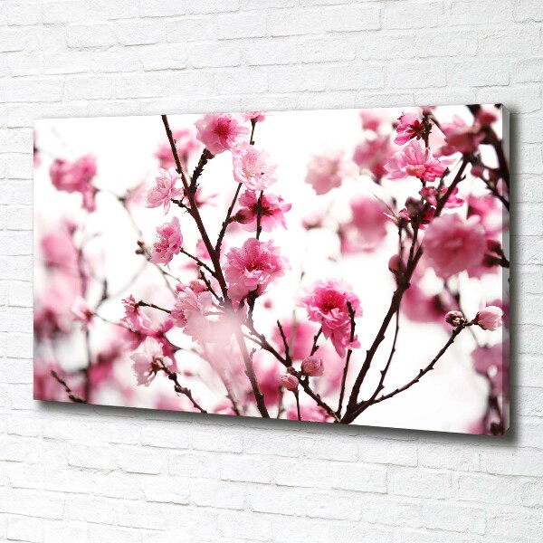 Tableau mural sur toile Fleur de prunier