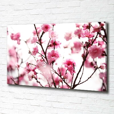 Tableau mural sur toile Fleur de prunier