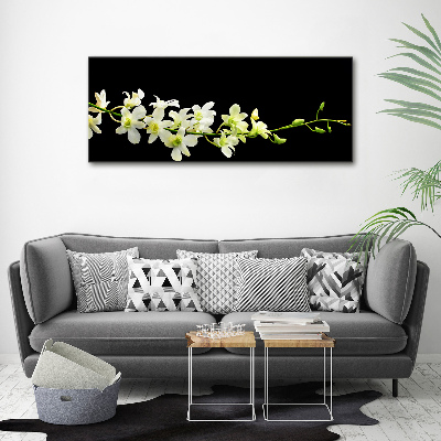 Tableau mural sur toile Orchidée plante