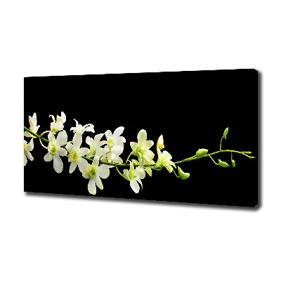 Tableau mural sur toile Orchidée plante