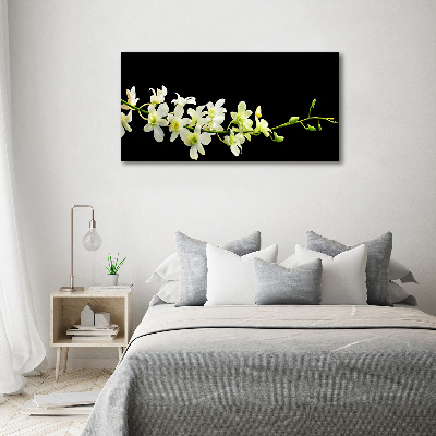 Tableau mural sur toile Orchidée plante