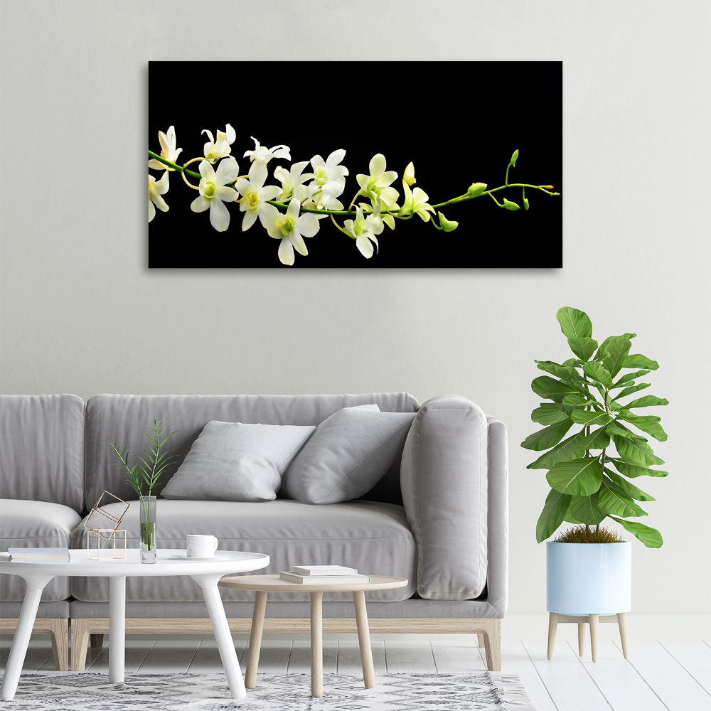 Tableau mural sur toile Orchidée plante