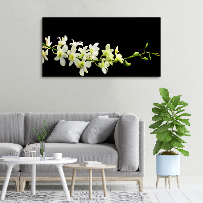 Tableau mural sur toile Orchidée plante