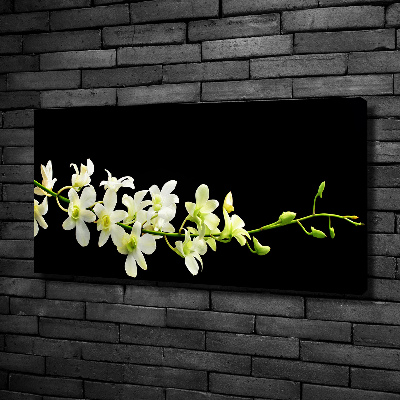 Tableau mural sur toile Orchidée plante