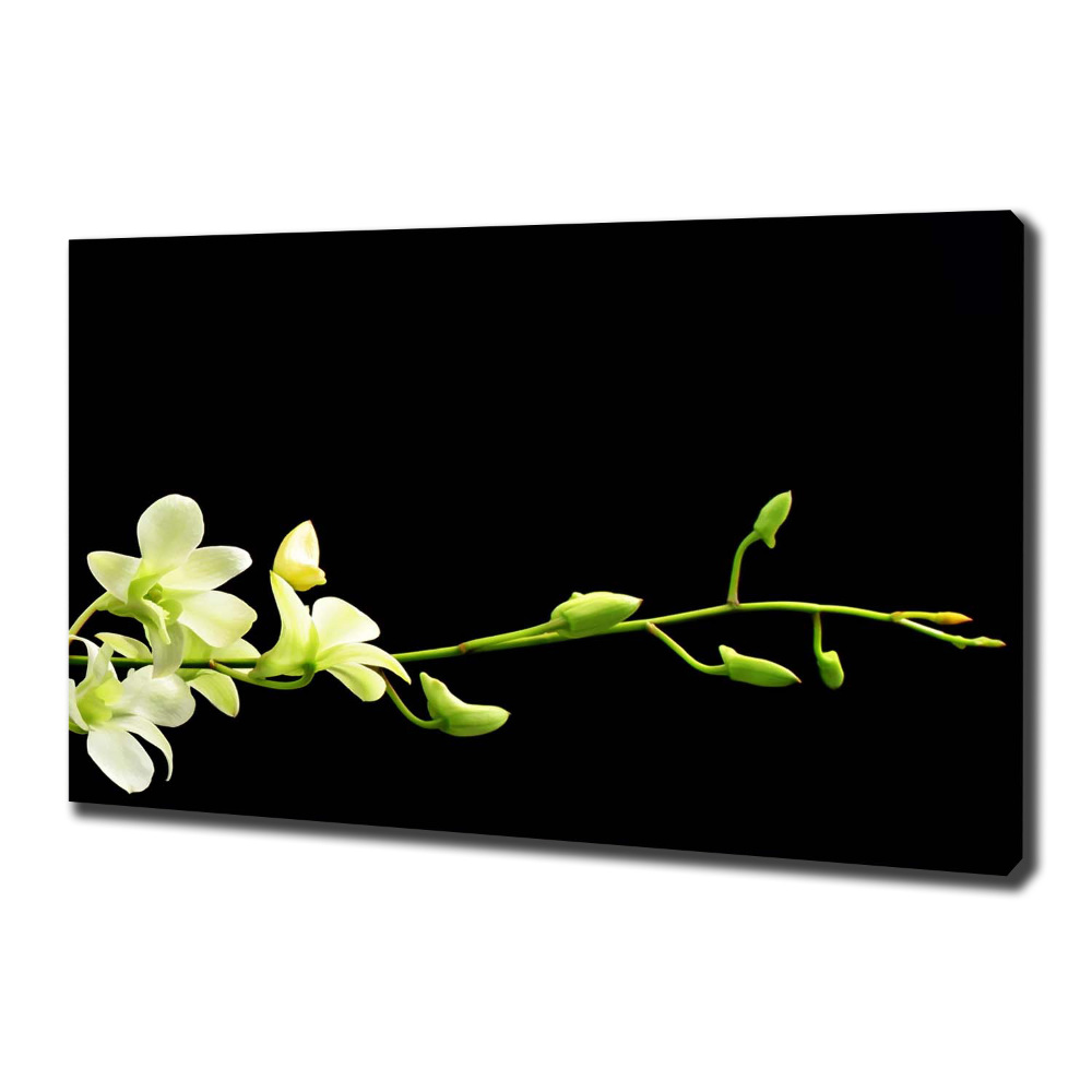 Tableau mural sur toile Orchidée plante