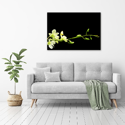 Tableau mural sur toile Orchidée plante