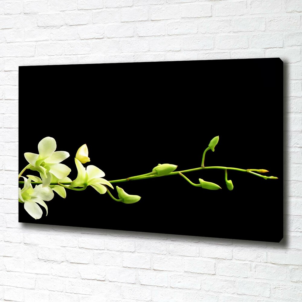 Tableau mural sur toile Orchidée plante