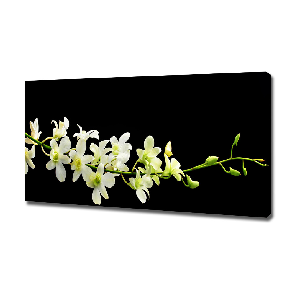 Tableau mural sur toile Orchidée plante