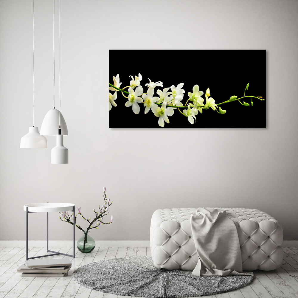 Tableau mural sur toile Orchidée plante