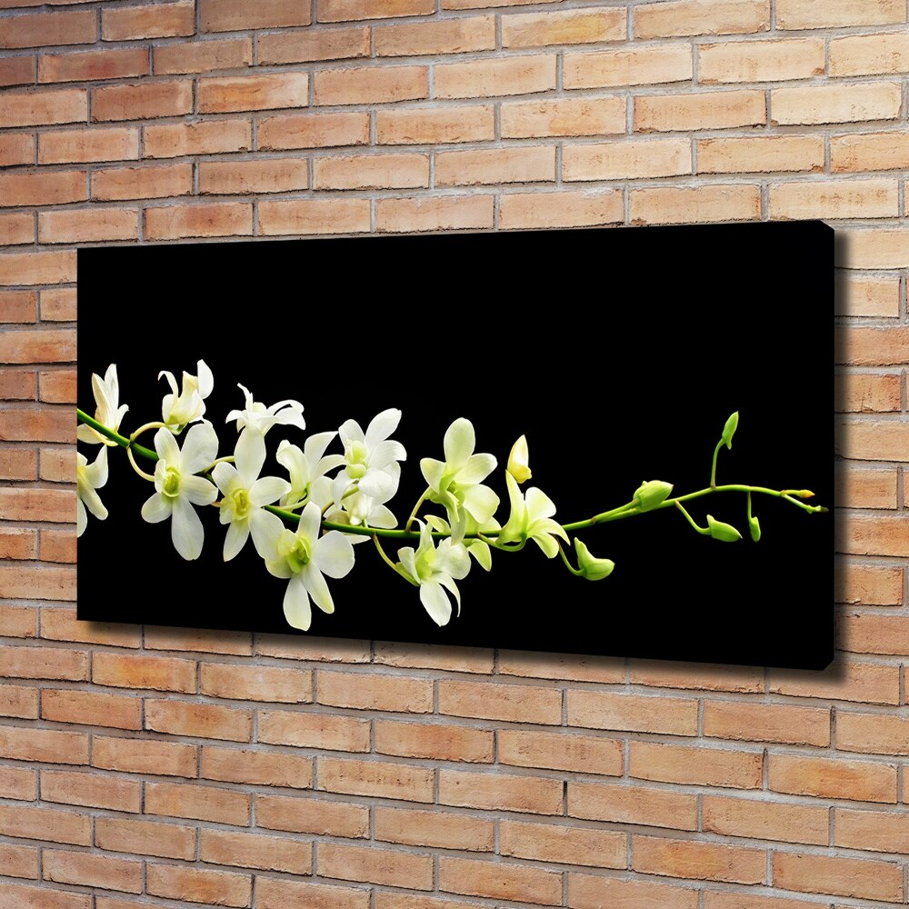 Tableau mural sur toile Orchidée plante