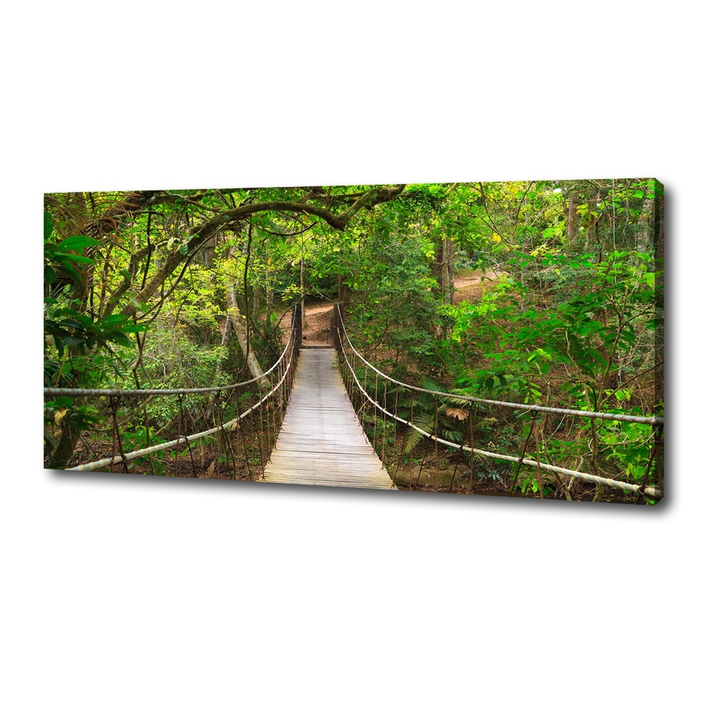 Tableau photo sur toile Pont de corde