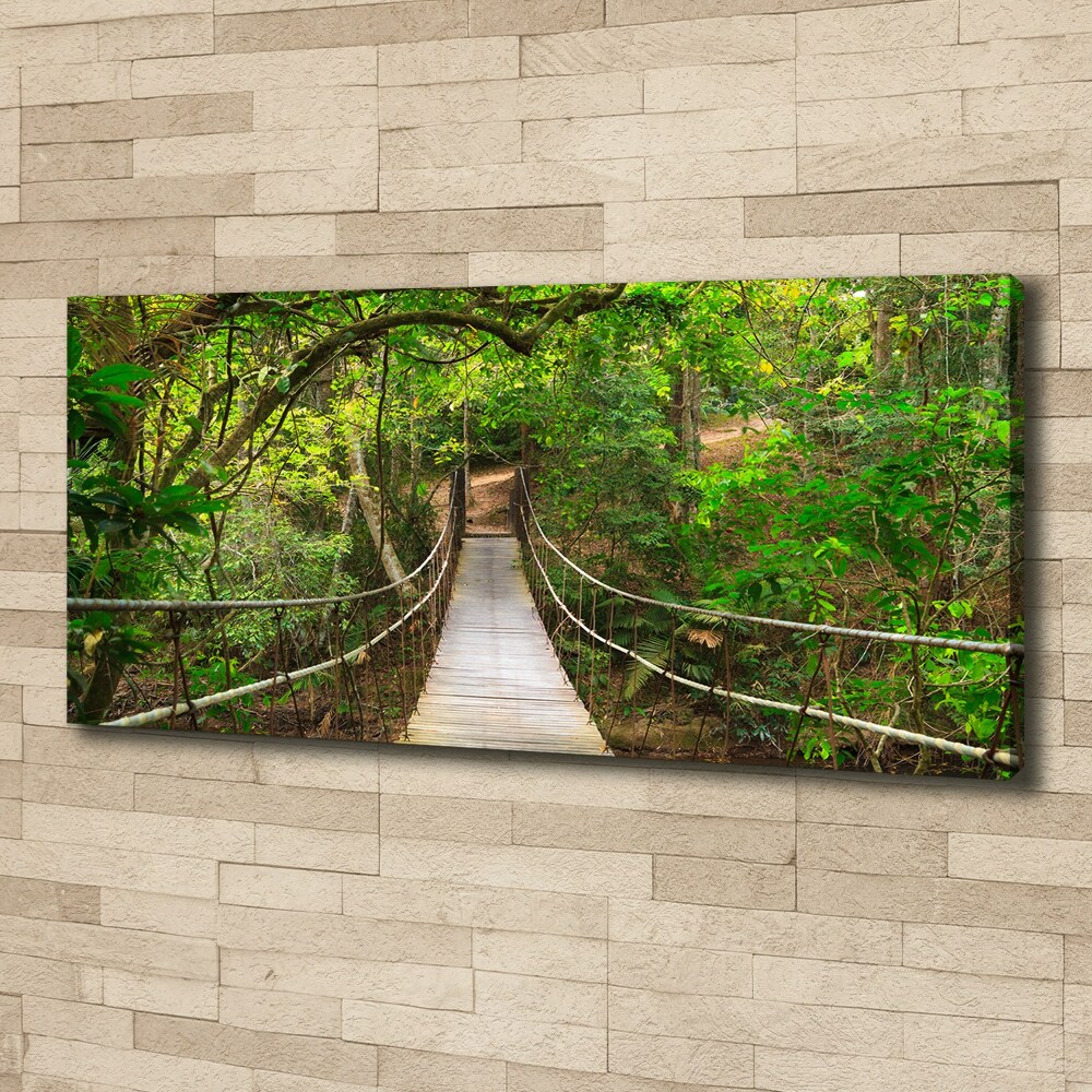 Tableau photo sur toile Pont de corde