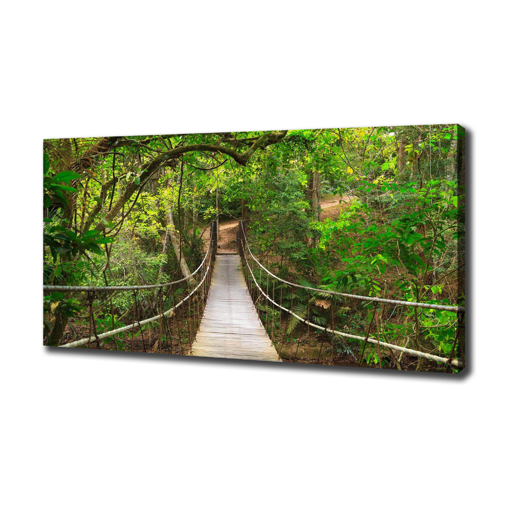 Tableau photo sur toile Pont de corde