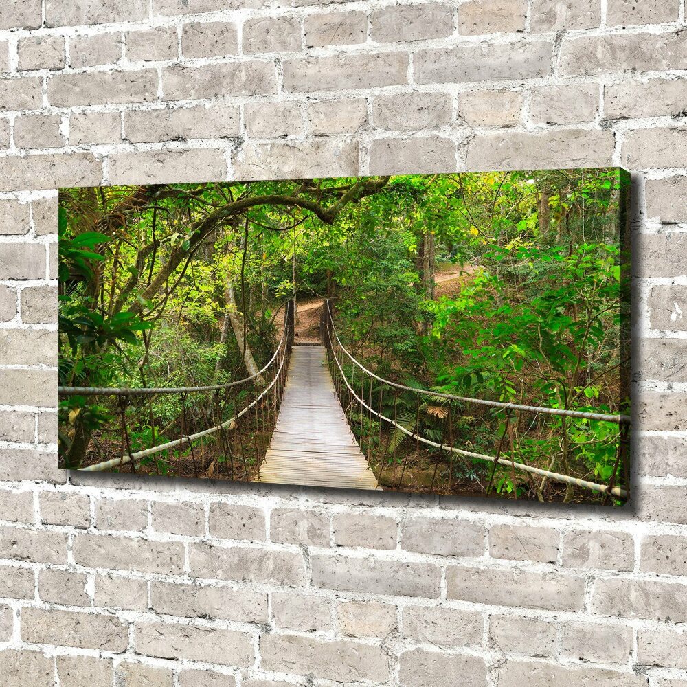 Tableau photo sur toile Pont de corde