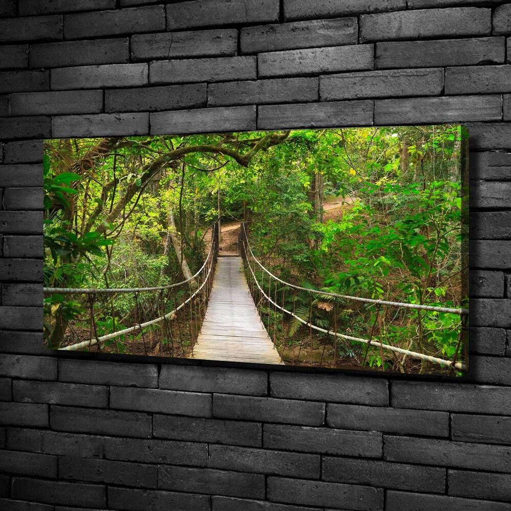 Tableau photo sur toile Pont de corde