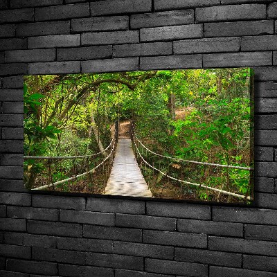 Tableau photo sur toile Pont de corde