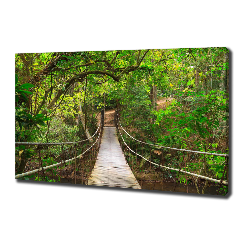 Tableau photo sur toile Pont de corde