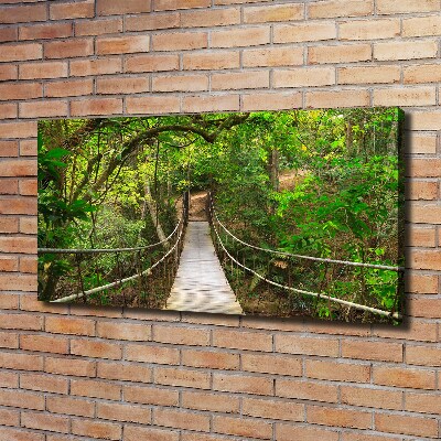 Tableau photo sur toile Pont de corde