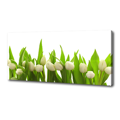 Tableau mural sur toile Tulipes blanches