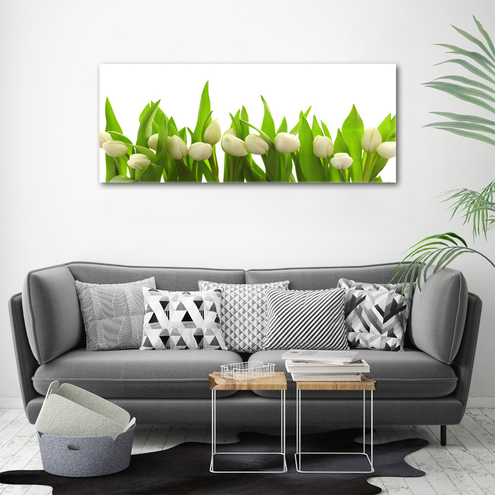 Tableau mural sur toile Tulipes blanches