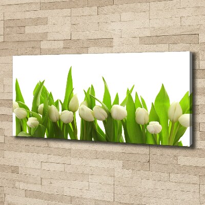 Tableau mural sur toile Tulipes blanches