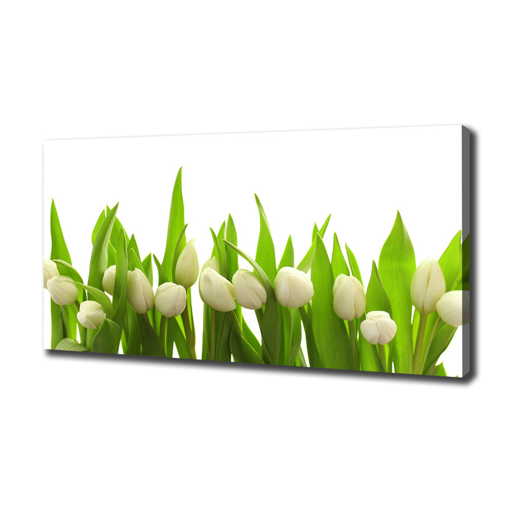 Tableau mural sur toile Tulipes blanches