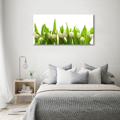 Tableau mural sur toile Tulipes blanches