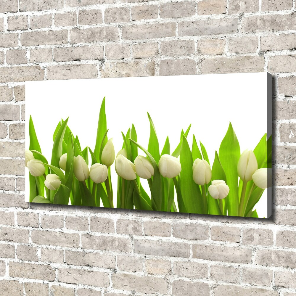 Tableau mural sur toile Tulipes blanches