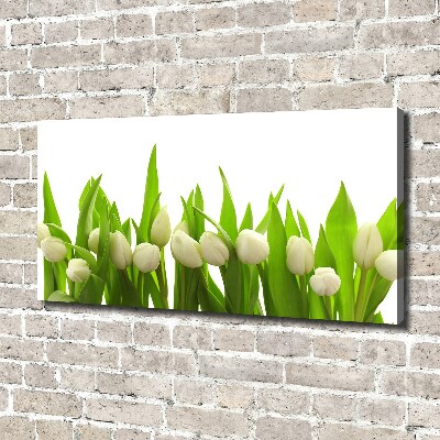 Tableau mural sur toile Tulipes blanches