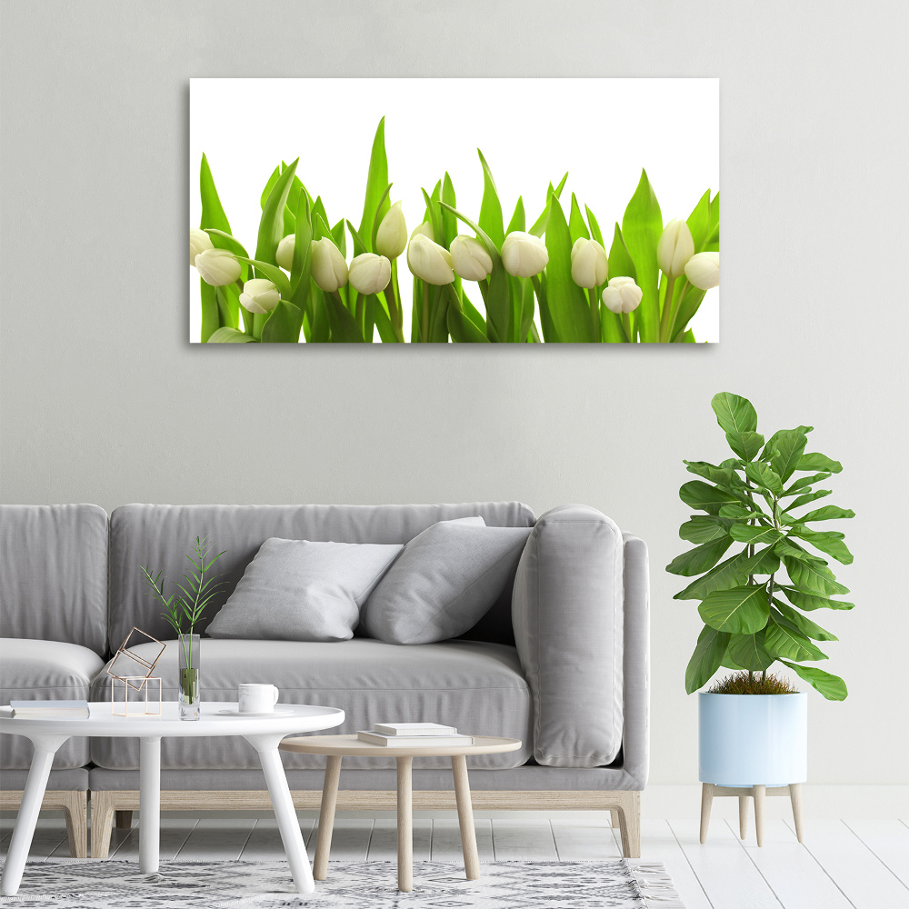 Tableau mural sur toile Tulipes blanches