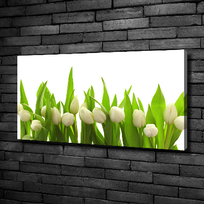 Tableau mural sur toile Tulipes blanches