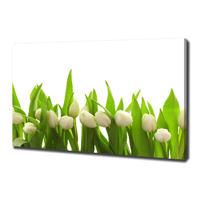 Tableau mural sur toile Tulipes blanches