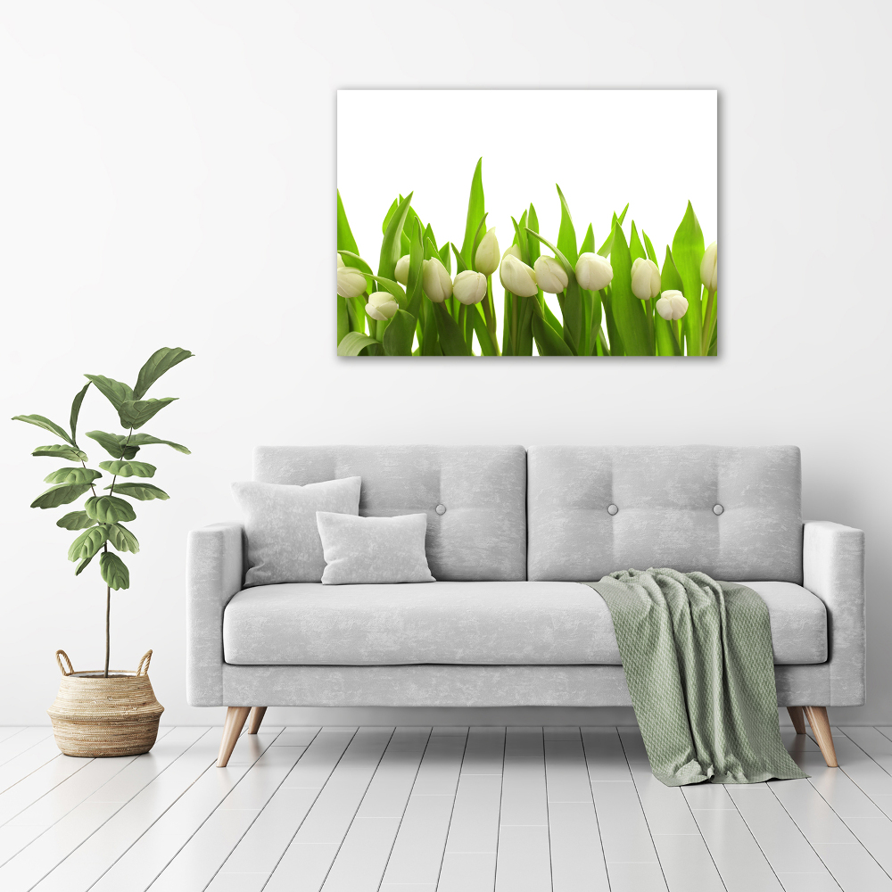 Tableau mural sur toile Tulipes blanches