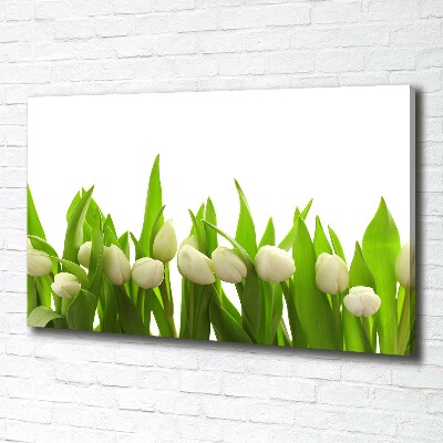 Tableau mural sur toile Tulipes blanches