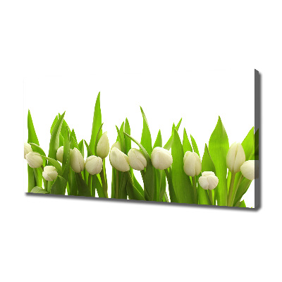 Tableau mural sur toile Tulipes blanches