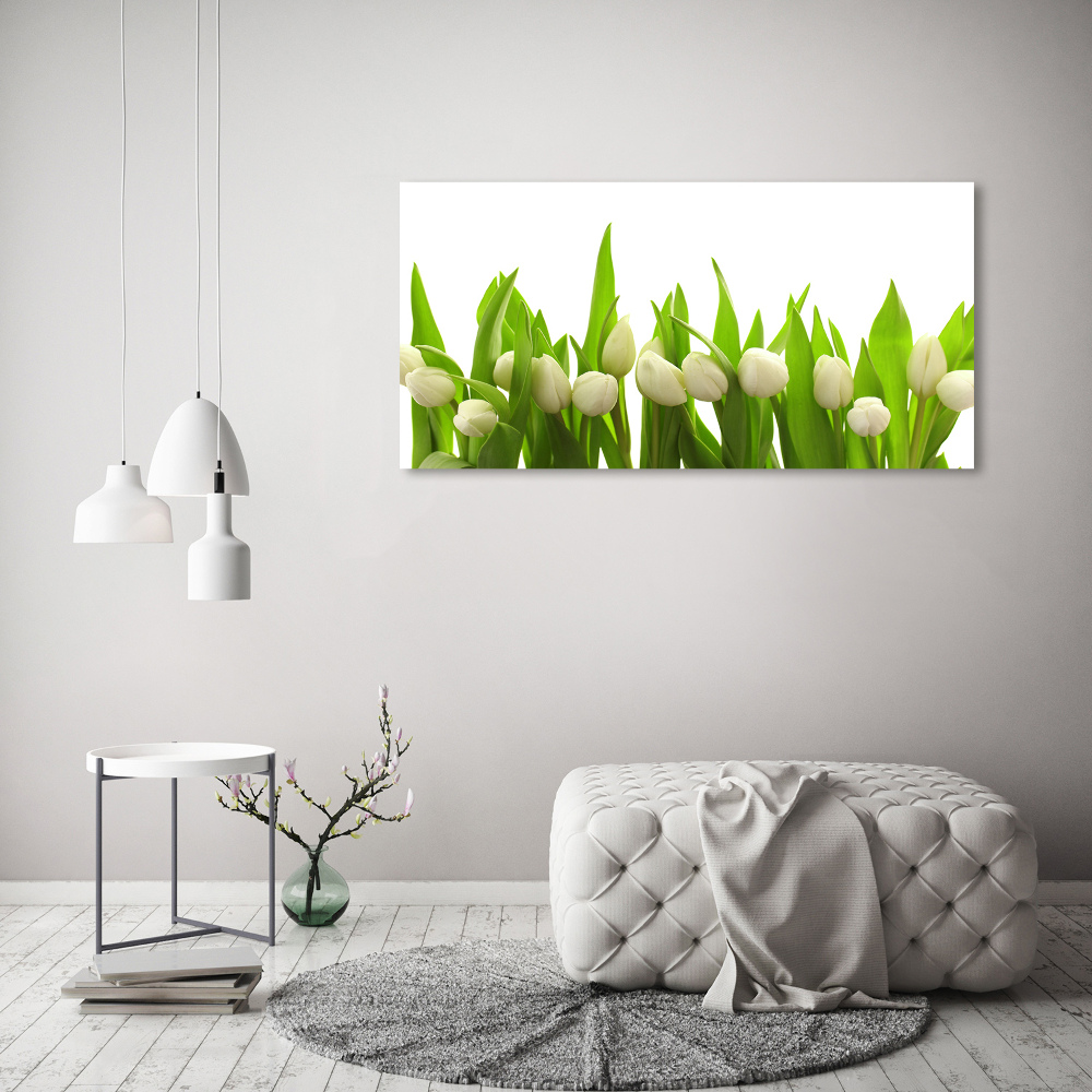 Tableau mural sur toile Tulipes blanches