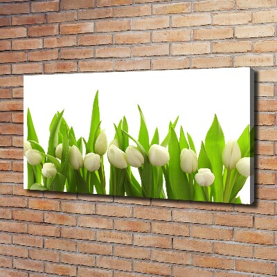 Tableau mural sur toile Tulipes blanches