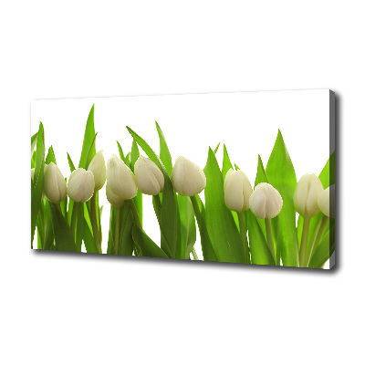 Tableau sur toile Tulipes blanches