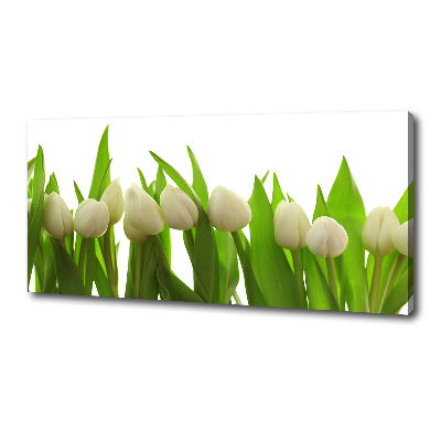 Tableau sur toile Tulipes blanches