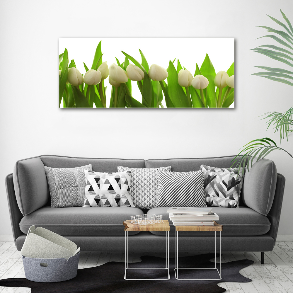 Tableau sur toile Tulipes blanches