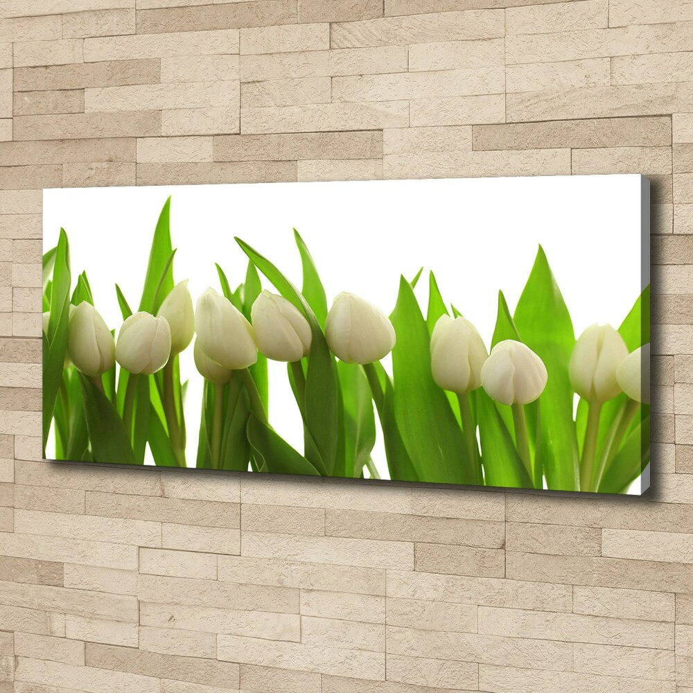 Tableau sur toile Tulipes blanches