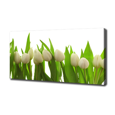 Tableau sur toile Tulipes blanches