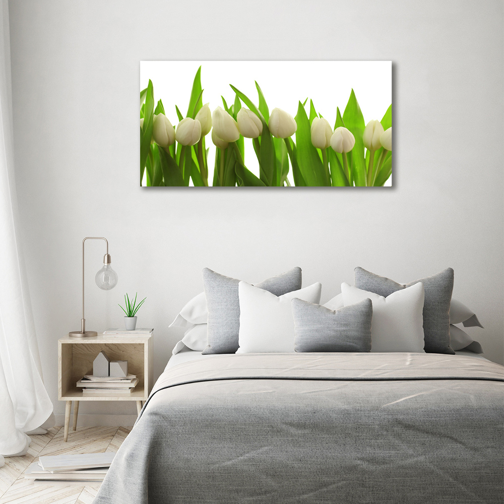 Tableau sur toile Tulipes blanches