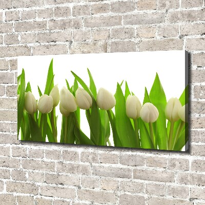 Tableau sur toile Tulipes blanches