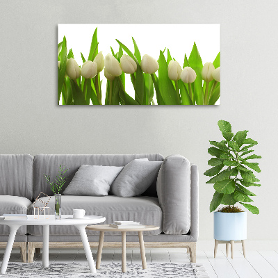 Tableau sur toile Tulipes blanches