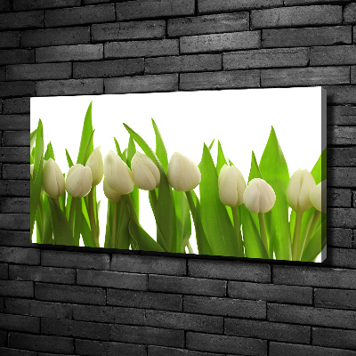 Tableau sur toile Tulipes blanches